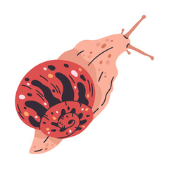 Garden snail. Cartoon slow gastropod, little mollusk inside spiral snail shell flat vector illustration. Colorful snail on white