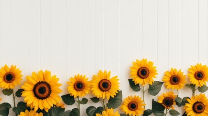 Sunny Sunflower Border: A vibrant and cheerful border of sunflowers along the bottom edge of a white wooden background. perfect for adding a touch of nature and warmth to your designs. 
