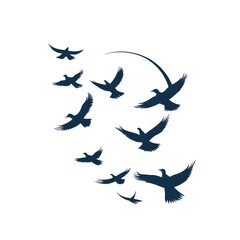 Fototapeta premium A Flock of Birds Flying in a Circular Formation