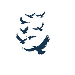 Obraz premium A flock of birds in flight, with one large bird in the foreground