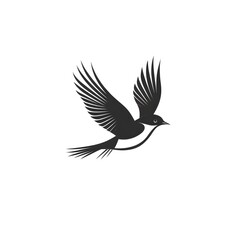 Obraz premium Black Silhouette of a Bird in Flight