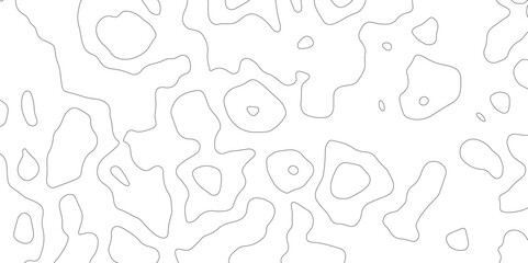 Topography and geography map grid abstract backdrop, Modern design with White background.