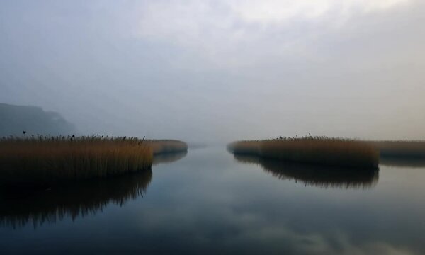 Foggy Marshland With Calm Water Reflections