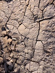 Paisaje seco y árido