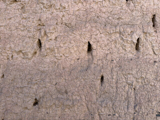 Textura natural de muro