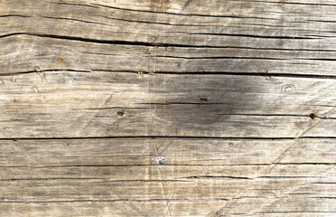 Obraz premium Textura de madera