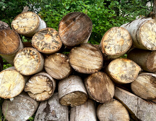 Stacked Firewood for Fireplace Burning and Bonfires