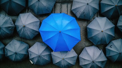 A vibrant blue umbrella stands out among many gray umbrellas in a rainy setting.