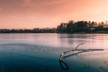 Thin layer of ice covering the surface of a lake at sunset, with a bare branch emerging from the...