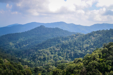 Mountain and tree in Northern Thailand,South East Asia