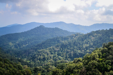 Fototapeta premium Mountain and tree in Northern Thailand,South East Asia