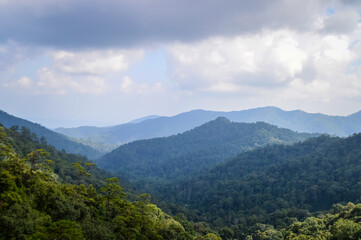 Mountain and tree in Northern Thailand,South East Asia