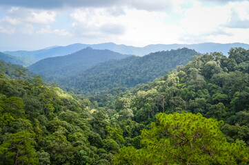 Mountain and tree in Northern Thailand,South East Asia