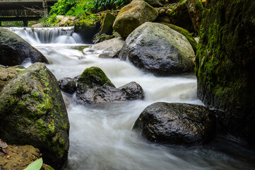 Little Creek in jungle at Doi Saket chiangmai Northern Thailand,South East Asia