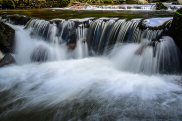 Obraz premium Little Creek in jungle at Doi Saket chiangmai Northern Thailand,South East Asia