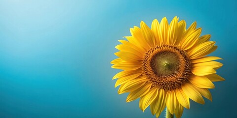 Obraz premium A vibrant single sunflower against a serene blue backdrop, symbolizing summer's warmth and the beauty of nature's simple elegance.