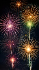 fireworks in the night sky