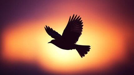 Fototapeta premium Bird flying during a beautiful sunset.