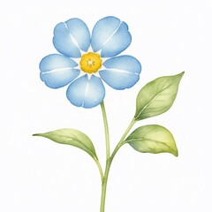 Fototapeta premium Watercolor Blue Flower Delicate Blossom Spring Floral Botanical Illustration