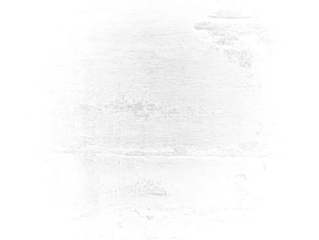 Abstract grayscale glitch art texture.