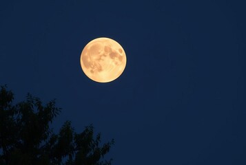 Naklejka premium Resplendent Supermoon A supermoon that is resplendent and magnif