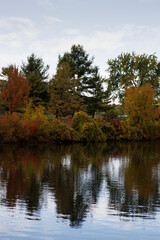 autumn trees reflected in water