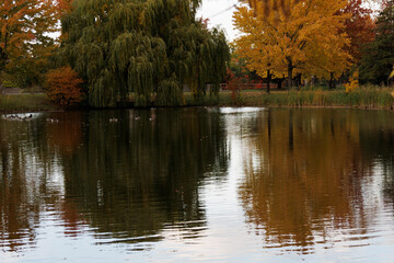 autumn in the park