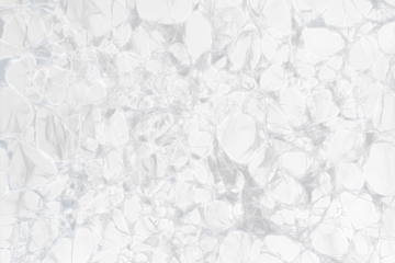 Intricate white network on black Transparent Background.