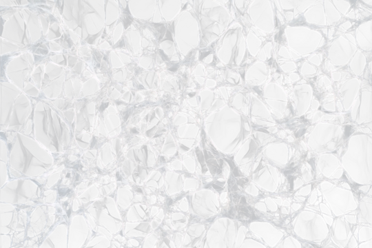 Intricate white network on black Transparent Background.