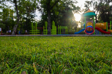 Green meadow grass in playground city public park morning sun rise