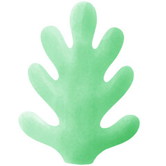 Seaweed in the water.