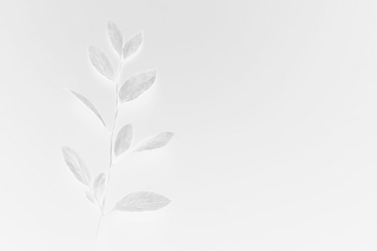 Here's a description for your stock photo

 Monochrome sprig on dark Transparent Background.