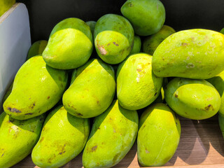 fresh green mango fruit