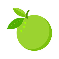 Guava fruit Vector Illustration isolated on white background