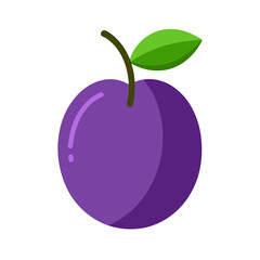 Plum isolated on white background flat icon 
