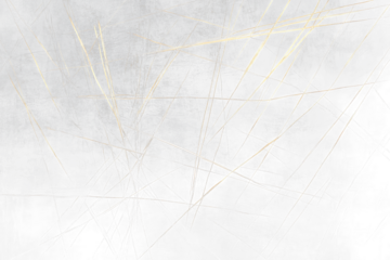 Abstract gold lines on black Transparent Background.