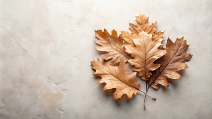 Autumnal Still Life Dried Oak Leaves on a Textured Surface