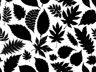 Fototapeta premium seamless pattern