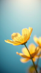 Obraz premium Close-up of delicate marsh marigold petals in soft sunlight, delicate, close-up, yellow, soft