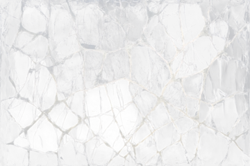 Abstract image of a spiderweb-like structure on a dark Transparent Background.