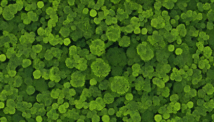 background of leaves