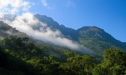 Obraz premium A nature mountain with thick forest and cloud with blue sky