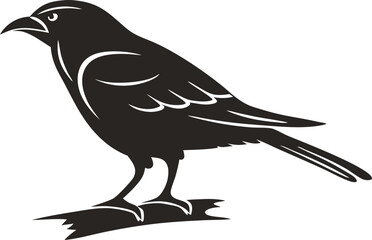illustration of a bird