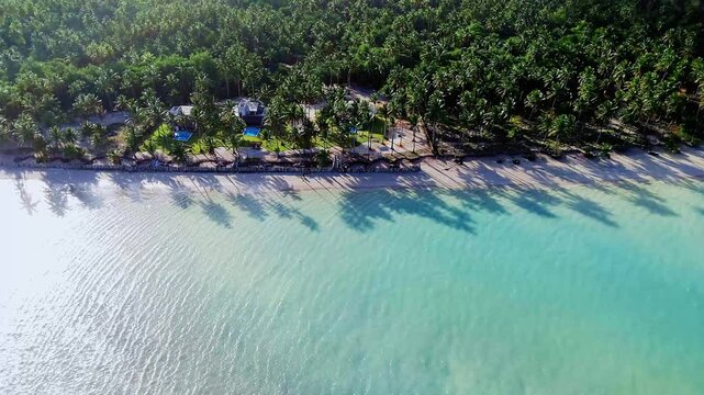 Breathtaking aerial view of Maragogi, Alagoas, Brazil, with palm trees along the coast reflecting in the turquoise waters, creating a serene and captivating tropical landscape.
