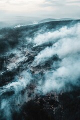 Obraz premium Forest with Smoke