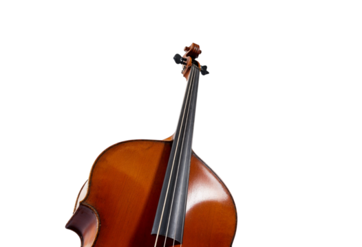 violin on white background