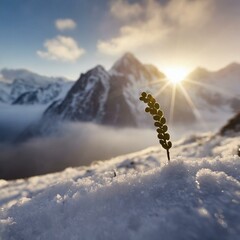 Plant in the snow mountainscape