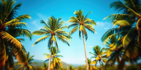 Obraz premium Serene tropical paradise with lush green palm trees swaying gently under a vibrant blue sky