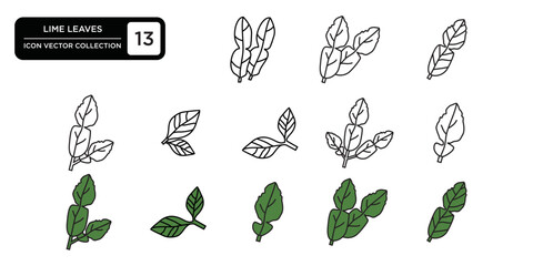 Lime leaves icon collection, editable and resizable vector icon templates