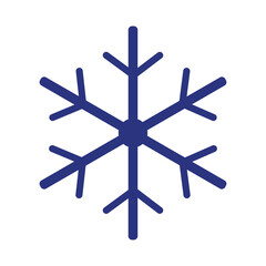 Snowflake icon vector. Snow, snowfall, cold weather, frost, winter, holiday, sign and symbol chrisrmas design on white background.